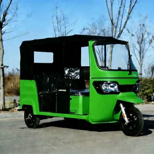 163ML Passenger Tricycle export product image — view 19