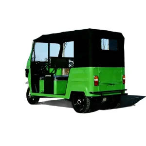 163ML Passenger Tricycle export product image — view 20
