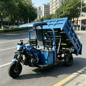 175 Cargo Tricycle export product image — view 2
