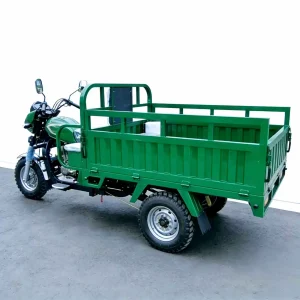 200cc Passenger Tricycle export product image — view 3