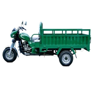 200cc Passenger Tricycle export product image — view 5