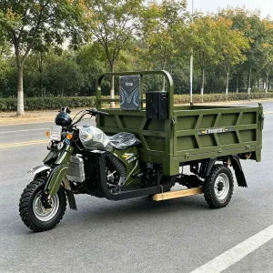 250 Passenger Tricycle export product image — view 2