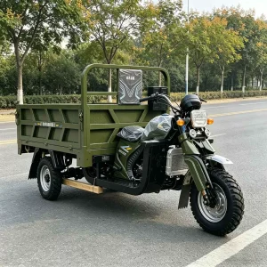 250 Passenger Tricycle export product image — view 3