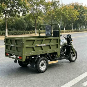 250 Passenger Tricycle export product image — view 4