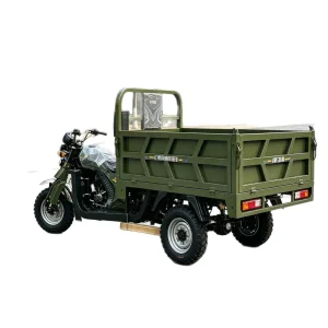250 Passenger Tricycle export product image — view 5