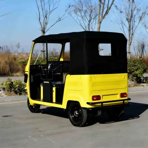 DZY-DDC Passenger Tricycle export product image — view 3