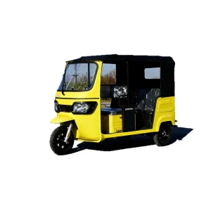 DZY-DDC Passenger Tricycle export product image — view 5
