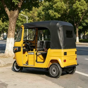 JS150ZH-2423 Passenger Tricycle export product image — view 2