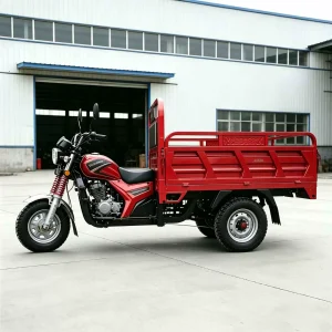 JS150ZH-5D-1156 Cargo Tricycle export product image