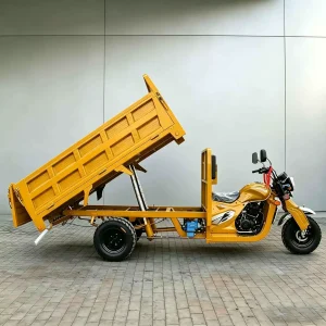 JS150ZH-5D-3924 Cargo Tricycle export product image — view 2