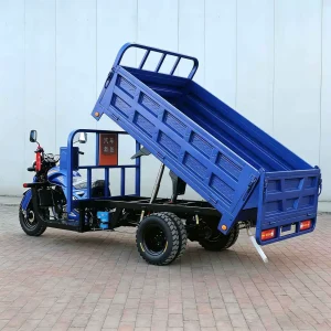 JS150ZH-7826 Cargo Tricycle export product image — view 2
