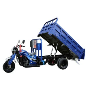 JS150ZH-7826 Cargo Tricycle export product image — view 5