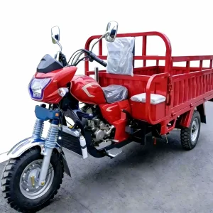 KV200ZH-B-4831 Cargo Tricycle export product image — view 4