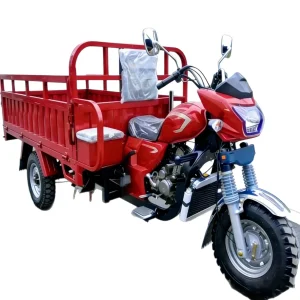 KV200ZH-B-4831 Cargo Tricycle export product image — view 5
