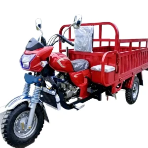 KV200ZH-B-5409 Cargo Tricycle export product image — view 5