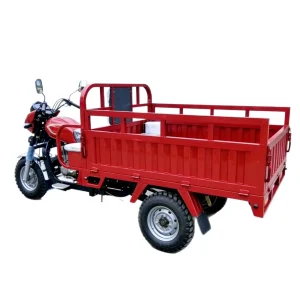KV200ZH-B-8199 Passenger Tricycle export product image — view 5