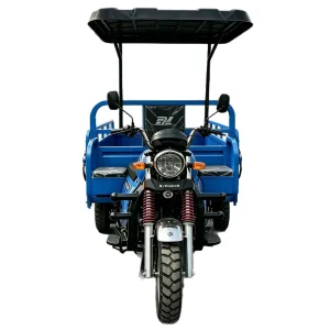 KV200ZH-C Passenger Tricycle export product image — view 5