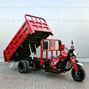 kz-200zh-5809 Cargo Tricycle export product image — view 3
