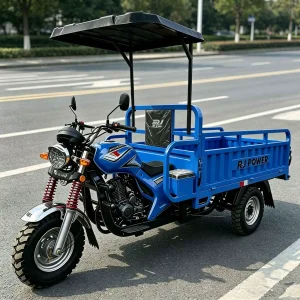 kz-200zh-8465 Cargo Tricycle export product image — view 2
