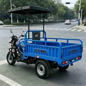 kz-200zh-8465 Cargo Tricycle export product image — view 4