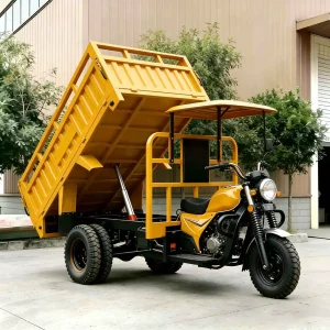 LC Cargo Tricycle export product image — view 2