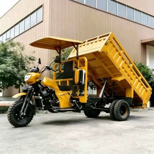 LC Cargo Tricycle export product image — view 3