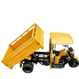 LC Cargo Tricycle export product image — view 5
