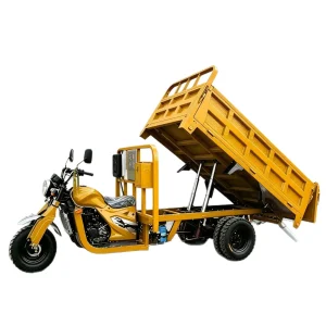 300 Passenger Tricycle export product image — view 5