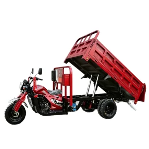 SHS150ZH-2 Cargo Tricycle export product image — view 5