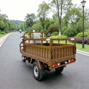 TR-1046721579449 Cargo Tricycle export product image