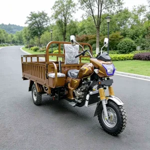 TR-1046721579449 Cargo Tricycle export product image — view 2