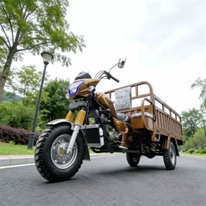 TR-1046721579449 Cargo Tricycle export product image — view 3