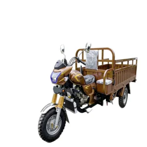 TR-1046721579449 Cargo Tricycle export product image — view 5