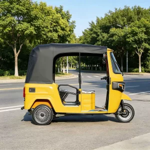 TR-1047087055661 Passenger Tricycle export product image — view 2