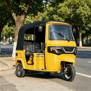 TR-1047087055661 Passenger Tricycle export product image — view 3