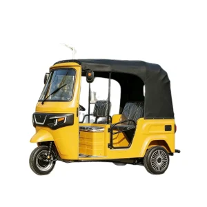 TR-1047087055661 Passenger Tricycle export product image — view 5