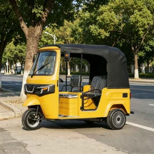 TR-1047098643046 Passenger Tricycle export product image — view 2
