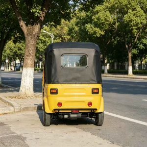 TR-1047098643046 Passenger Tricycle export product image — view 3