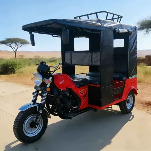TR-1047258058264 Passenger Tricycle export product image