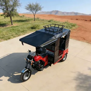 TR-1047258058264 Passenger Tricycle export product image — view 4