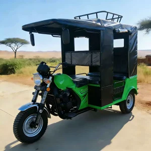 TR-1047270302166 Passenger Tricycle export product image — view 3