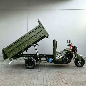 TR-1047451695133 Cargo Tricycle export product image — view 4