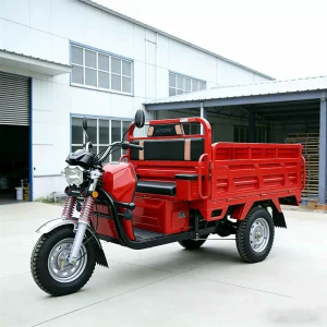 TR-1047545638060 Cargo Tricycle export product image — view 2