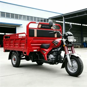 TR-1047545638060 Cargo Tricycle export product image — view 3