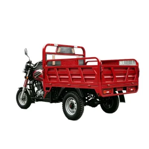 TR-1047545638060 Cargo Tricycle export product image — view 5