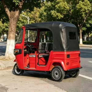 TR-1047842102930 Passenger Tricycle export product image