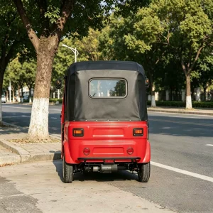 TR-1047842102930 Passenger Tricycle export product image — view 2