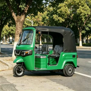 TR-1047952834630 Passenger Tricycle export product image