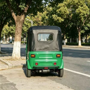 TR-1047952834630 Passenger Tricycle export product image — view 4