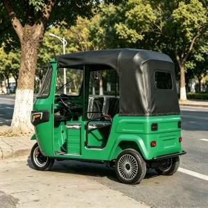 TR-1047967638723 Passenger Tricycle export product image